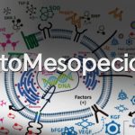 Cytokines Mesotherapy for Alopecia