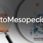 Cytokines Mesotherapy for Alopecia